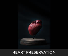 Heart Preservation